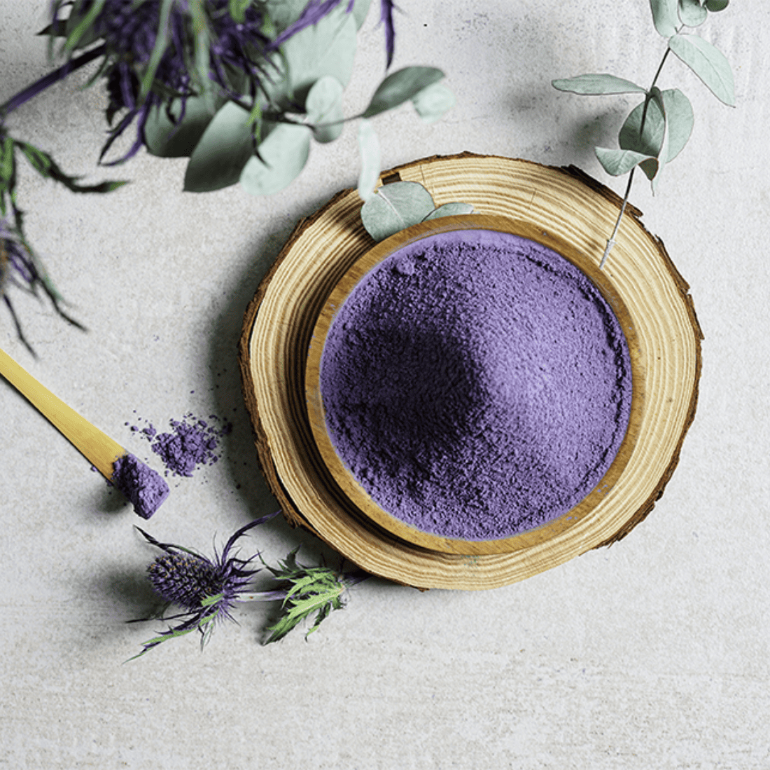 Extra fine blue matcha powder with spoon, in a wooden bowl on rustic wood slice, surrounded by leaves.