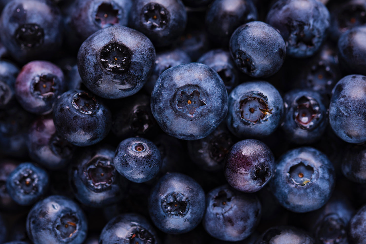 Close-up of fresh ripe blueberries.